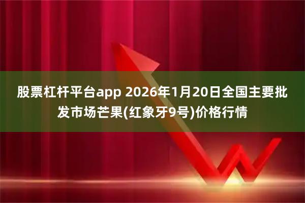 股票杠杆平台app 2026年1月20日全国主要批发市场芒果(红象牙9号)价格行情