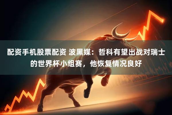 配资手机股票配资 波黑媒：哲科有望出战对瑞士的世界杯小组赛，他恢复情况良好